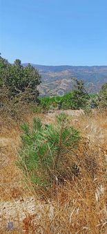 Bergamada Şahane Çiftlik Arazisi