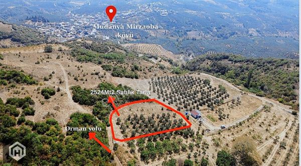 Mudanya Mirzaoba'da Satılık 2524mt2 Tarla Vasfında Fırsat Arazi