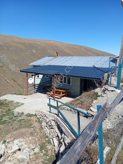 Trabzon Maçka Sarıtaş Yaylasında Satılık Yayla Evi