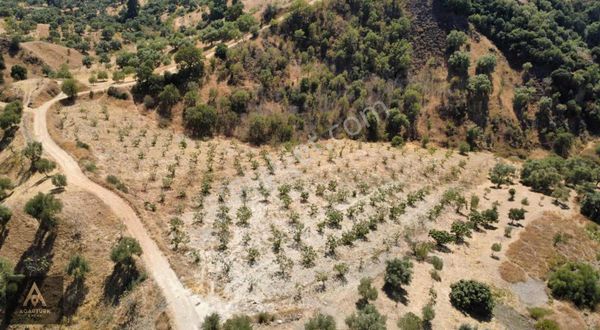 Dereağzı Fırsat 8,5 Dönüm İncirlik
