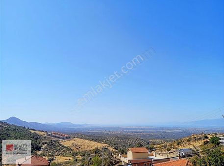 Rw Nefes'ten Dutluca'da Asfalt Dipi 9206m2 180 Ağaçlı Zeytinlik