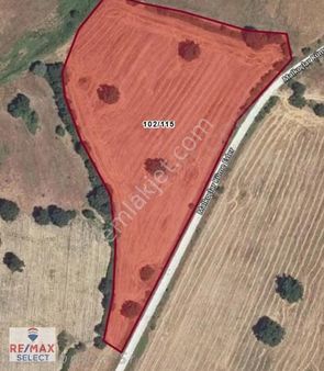 Kırklareli Kofcaz Yola Cephe 18 Dönüm Tarla