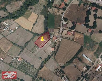 Ayaş Çanıllıda Tek Tapu 2.041 M2 Muhteşem Konumda Tarla