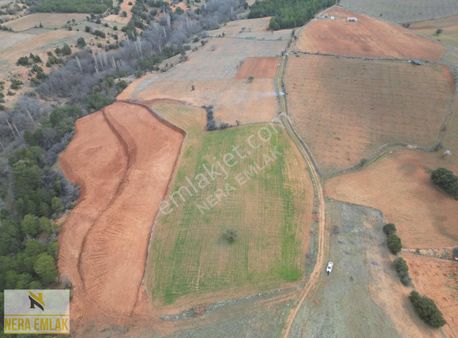 Çal'a 20dk.ev-çiftlik-depolama Yeri İçin Uygun Tek Tapu 24.875m2