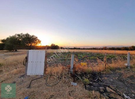 Yonca Gyo Dan Cenkyeri Mahaleesi Satılık Arsa