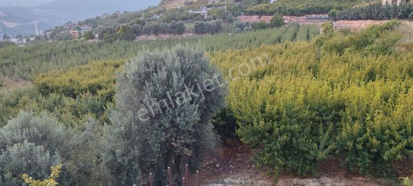 Merkeze Sadece 22 Km Uzaklıkta Satılık Köy İmarlı 1900 M2 Arazi