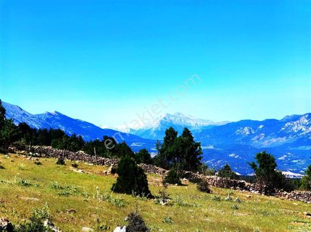 Kar Emlaktan Yeni Konacıkta 1300 Rakımlı 375 M2 Satılık Arsa