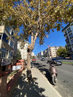 Karakaş Mah. Waldorf Caddesi Üzerinde Kiralık 145 M2 Dükkan