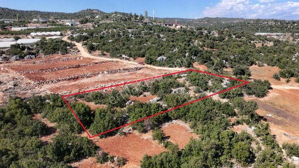 Köy Yerleşik Alan İçerisinde Ev Yapımına Uygun Satılık Arsa