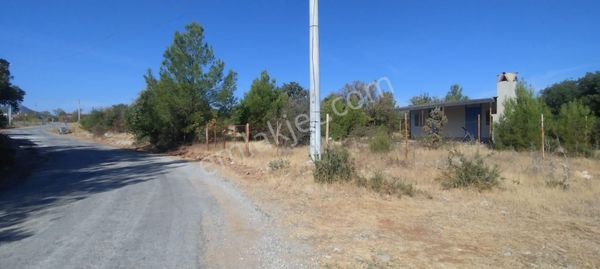 Denizova Yol Cepheli 1.207 M² Tarla – Denize Yakın