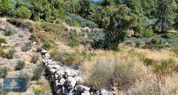 Çarşı Emlaktan Seydikemer Yaka Mahallesi Satılık Arazi