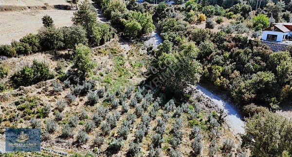 Seydikemer Yaka Mahallesi Satılık 3700 M2 Arazi