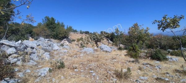 Denizova Panoramik Manzaralı Yatırımlık Tarla