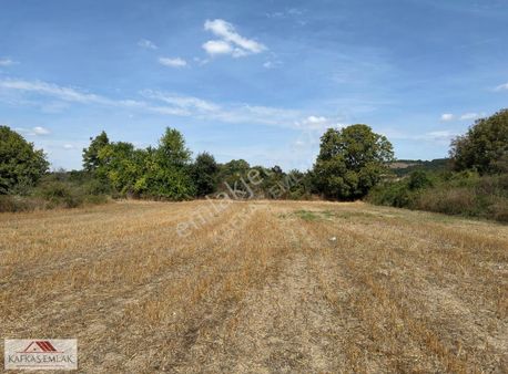 Behram Mh. 2.725 M2 Tarla