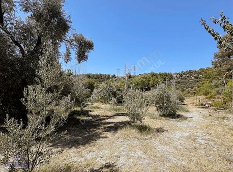 Kaş Kalkan, Doğa İçinde Geniş Arazili Müstakil Ev