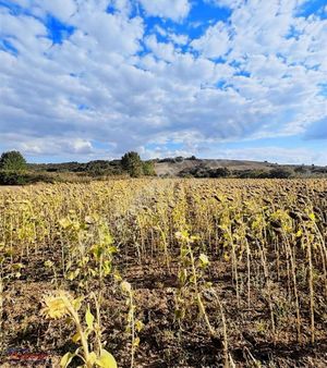 Edirne Uzunköprü'de Muhacir Kadıköylü Oldukça Yakın Satılık Arsa