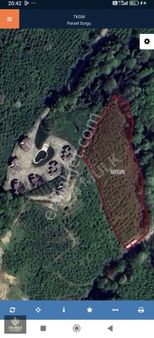 Erenler Taupsada And. Gişelerine Yakın, İmar Sınırı Yatırımlık