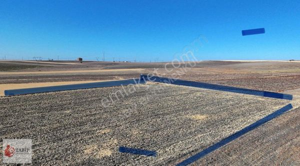 Babaeski Merkeze Yakın 5 Dönüm Tarla