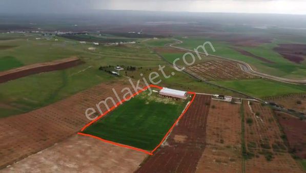 Seyitoğlu Emlak'tan Satılık Çiftlik