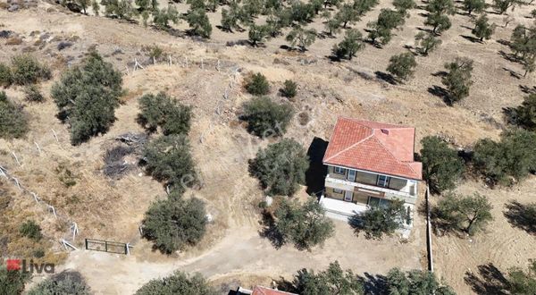 Rw Livadan Gömeç Karaağaçta Villa İmarlı Fırsat Arsa