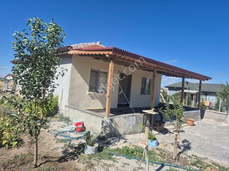 Yıldız'dan Bala'da Yetişkin Ağaçlı-kurulu Düzenli Asfalt Dibi 500m2 Tarla !!!!