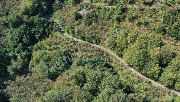 Trabzon Akçaabat Mersin Mahallesi 23.047 M2 Satılık Arazi