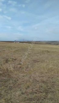 Tekirdağ Çorlu Yenice'de 140m2 Villa İmarlı Satılık Arsa