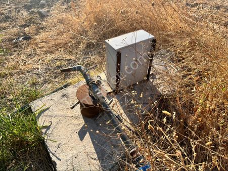 Sarıçam 12400m2 Elk Su Sondaj Damlama Ve Takas Var Zeytinlik