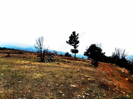 Kar Emlaktan Alpu Yaylasında 500 M2 Satılık Arsa