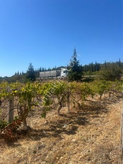 Saruhanlı İhsakçelebide Otoban Dibi Satılık Bağ