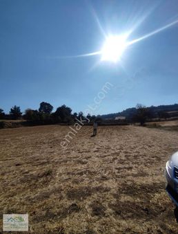 Klc Den Balıkesir Altıeylül Bereketli Mahallesinde 708 M² Tarla