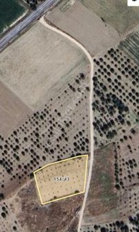 Vişne Bahçesi Adyon Şuhut 3100 M2