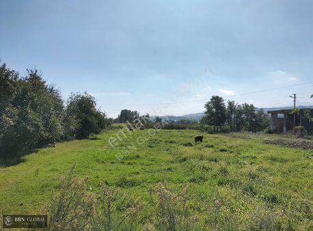 Brn Global'den Dereköy'de Anayolun Deniz Tarafında Fırsat Arsa