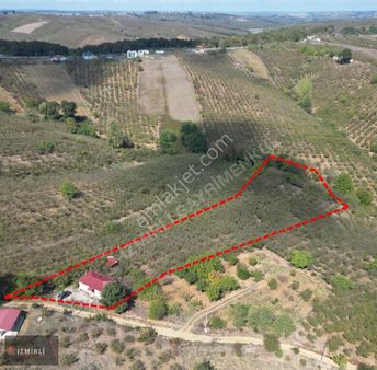 Satılık Bakımlı Fındıklık Sakarya / Ferizli / Abdürrezzak