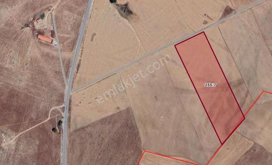 Satılık Tarla Ortaköy Balcı Köyde Tarla