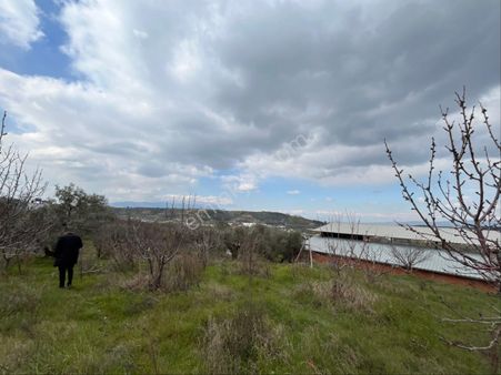 Emr Gayrimenkul Farkıyla Satılık Kirazlık
