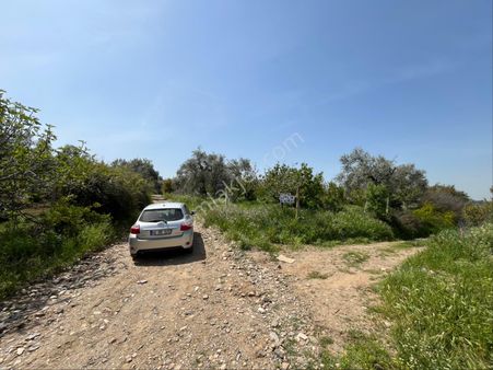 Emr Gayrimenkul Farkıyla Satılık Kirazlık