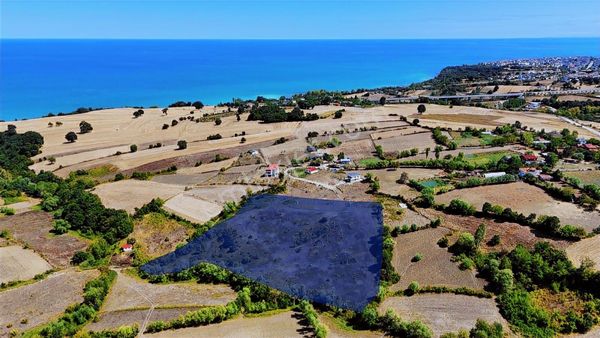 Gerze Balören'de Satılık Tarla
