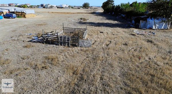 Turhan Emlaktan Pınarcada 308m2 Tek Tapu Tarla