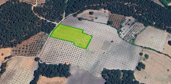 Savaştepe Merkez İstiklal Mah.satılık Tarla