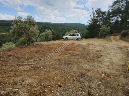 📍yukarı Bozkırda Satılık Zeytinlik