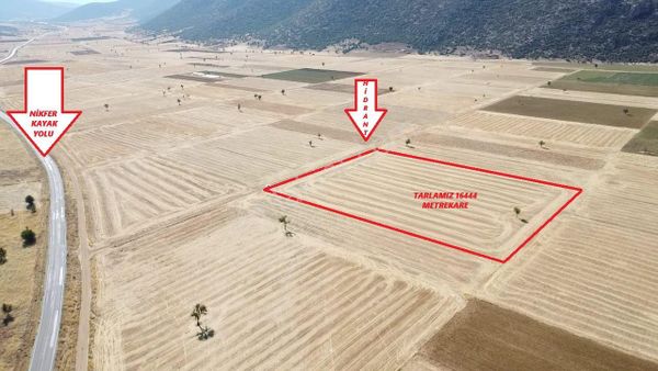 Tavas Garipköyde Asfalt Yola 100 Metre Mesafede Tarla