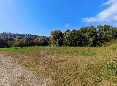 Mudanya Dereköyde Yatırımlık 6154 M2 Arazi