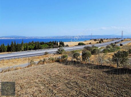 Gelibolu Boğaziçi Gayrimenkul Den Cevizli De Satılık Arazi