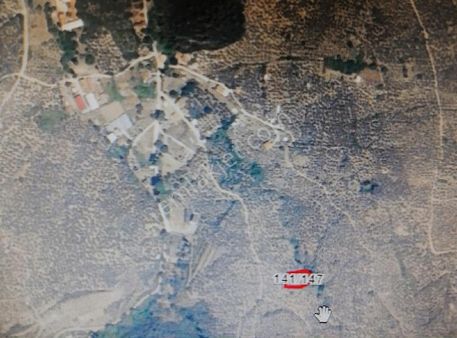 Mudanya-trilye'de Satılık Zeytinlik