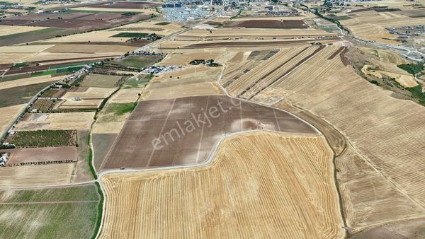 Grand Global Gm'den Büyükkavaklı Köyün'de Satılık 1.000 M² Arsa