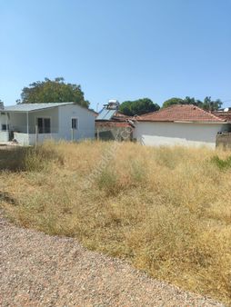 Kemalpaşa Yiğitler Köy Mahalle İçerisinde Acil Satılık Bahçe