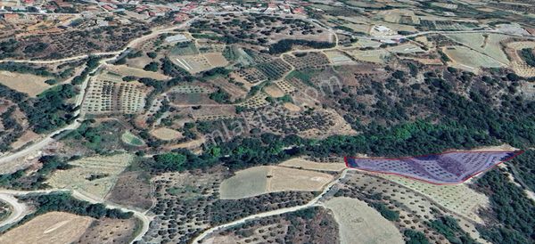 Muğla Menteşe Esençayda 6335 M2 Satılık Tarla