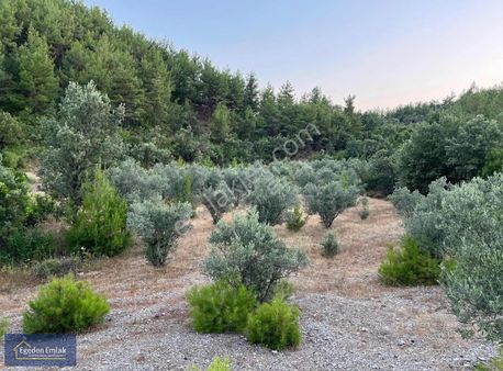 Egeden Emlaktan Muğla Menteşede Yatırımlık Fırsat Arazi