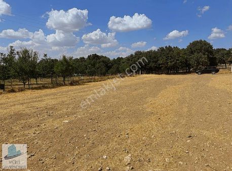 Yerli Gayrimenkul'den Gürpınar Mahallesinde Satılık Arazi